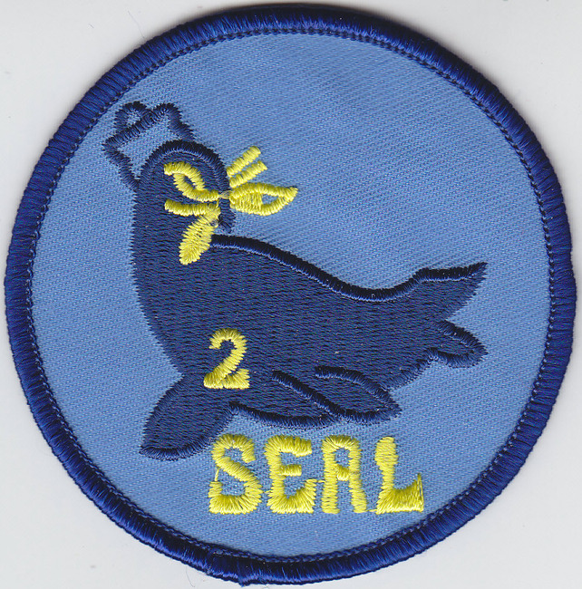 SEAL TEAM TWO (2) U.S. Navy patch